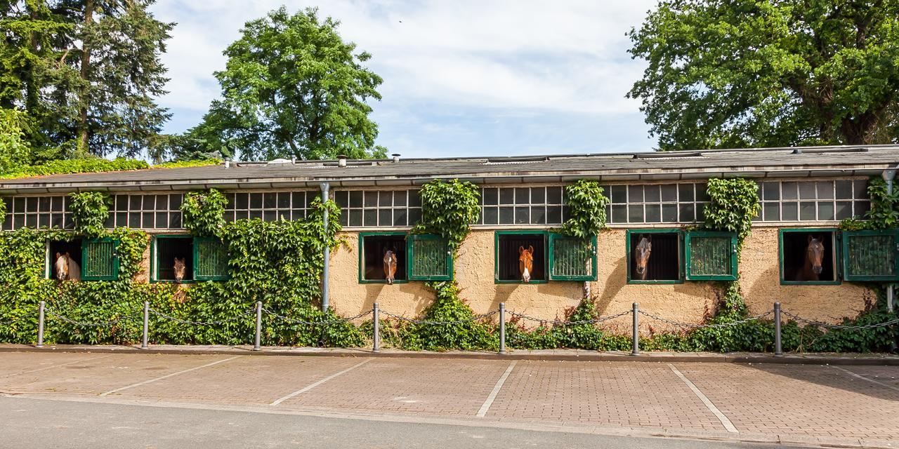 Gaestehaus Schloss Bothmer Otel Schwarmstedt Dış mekan fotoğraf